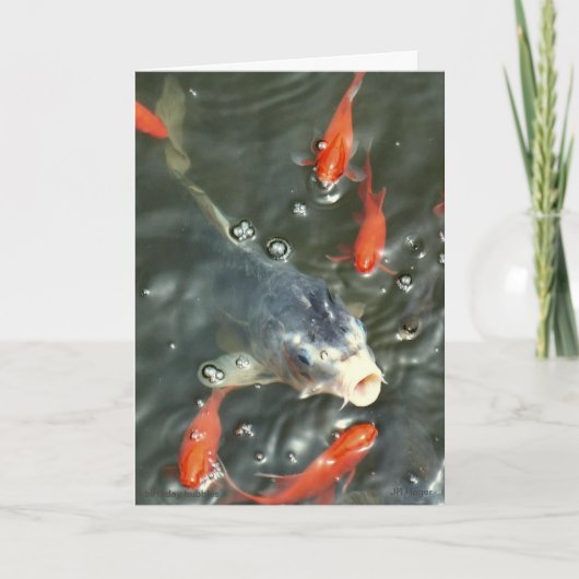 Bubble Verjaardag Kaart (Voorkant)