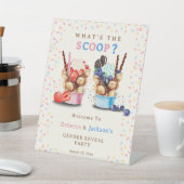 Bubble Waffle Ice Cream Gender Reveal Welkom Reclamebord Met Voetstuk (Insitu)