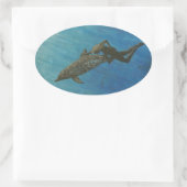 Bubblepacifische bumperstickers, dolfijnen die zwe ovale sticker (Tas)