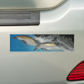Bubblepacifische bumperstickers, gewone dolfijnen bumpersticker (Op auto)