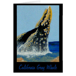 Bubblepacifische dekens