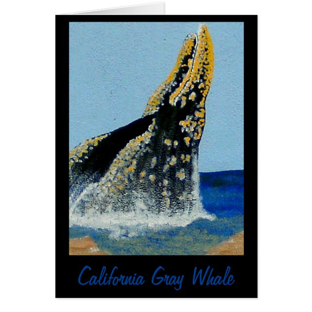 Bubblepacifische dekens (Voorkant)