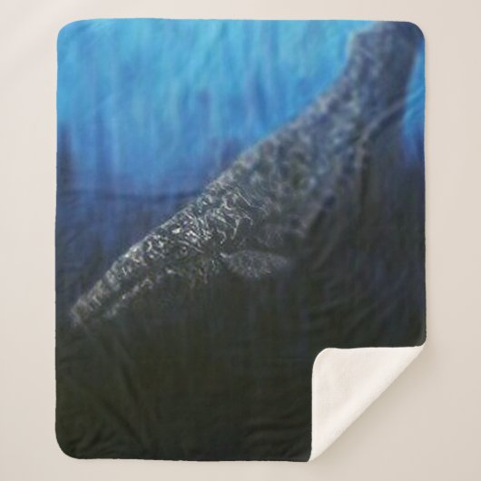 Bubblepacifische dekens (Voorkant)