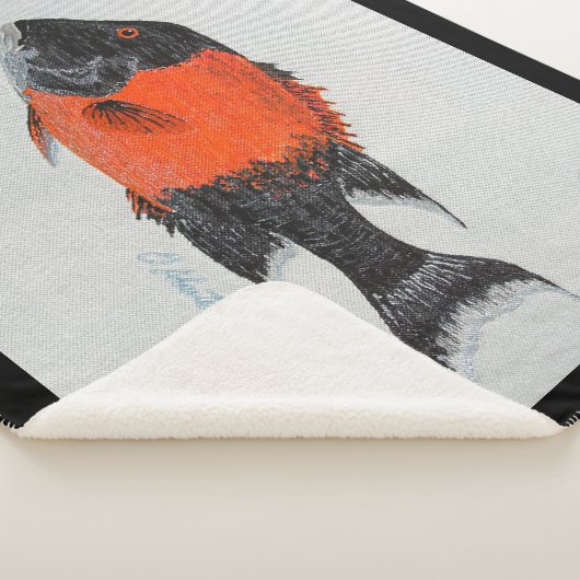 Bubblepacifische dekens (3/4)