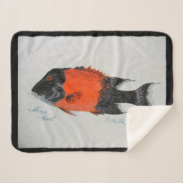 Bubblepacifische dekens