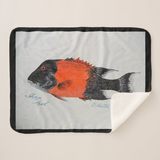 Bubblepacifische dekens (Voorkant (horizontaal))