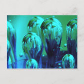 Bubbles Briefkaart (Voorkant)