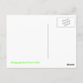 Bubbles Briefkaart (Achterkant)