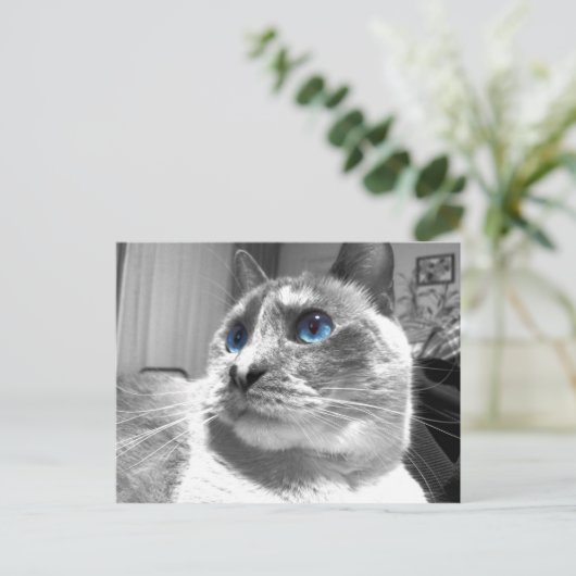 Bubble's Mesmerizing Blues Briefkaart (Staand voorkant)