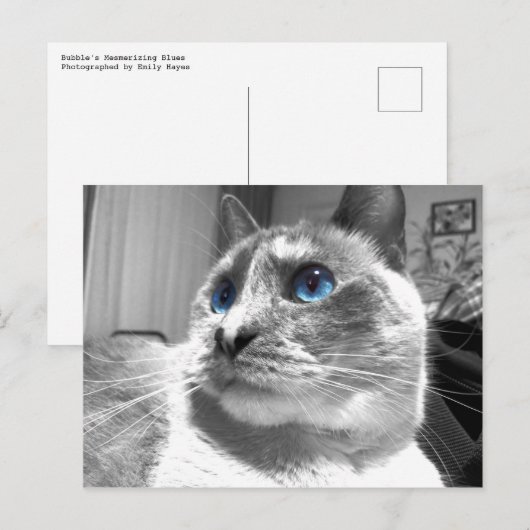 Bubble's Mesmerizing Blues Briefkaart (Voorkant / Achterkant)