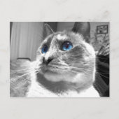 Bubble's Mesmerizing Blues Briefkaart (Voorkant)