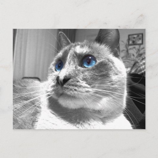 Bubble's Mesmerizing Blues Briefkaart (Voorkant)