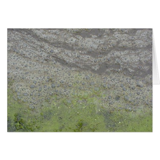Bubblescumkaart (Voorkant Horizontaal)