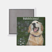 Bubblicious Golden Retriever Puppy Magneet (Voorkant / Achterkant)