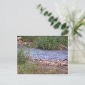 Bubbling Creek Briefkaart (Staand voorkant)