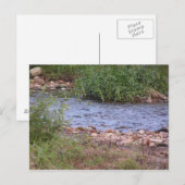 Bubbling Creek Briefkaart (Voorkant / Achterkant)