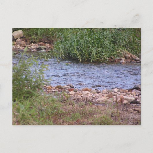 Bubbling Creek Briefkaart (Voorkant)