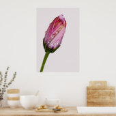 Bubbling daisy poster (Keuken)