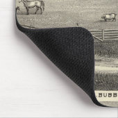 Bubbresidenties Muismat (Hoek)