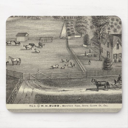 Bubbresidenties Muismat (Voorkant)