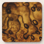 Bubels, bevroren in Amber Drankjes Onderzetter (Voorkant)