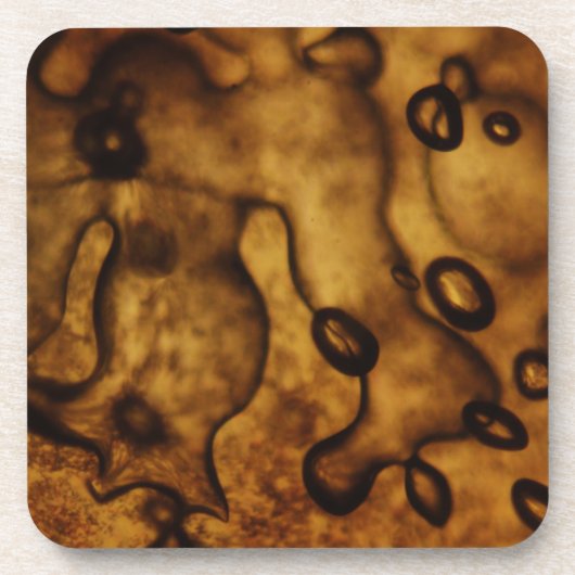 Bubels, bevroren in Amber Drankjes Onderzetter (Voorkant)