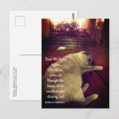 Bubels die door de brand slapen briefkaart (Voorkant / Achterkant)