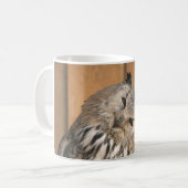 Bubo bubo sibiricus koffiemok (Voorkant links)