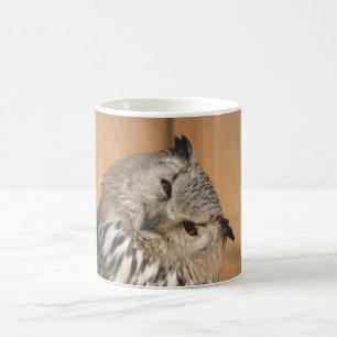 Bubo bubo sibiricus koffiemok