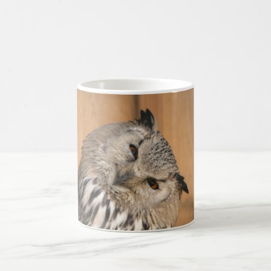 Bubo bubo sibiricus koffiemok (Center)