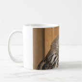 Bubo bubo sibiricus koffiemok (Links)