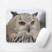 Bubo bubo sibiricus muismat (Met muis)