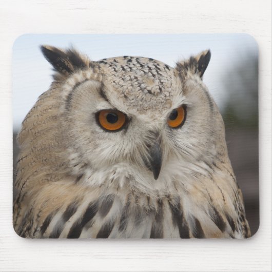 Bubo bubo sibiricus muismat (Voorkant)