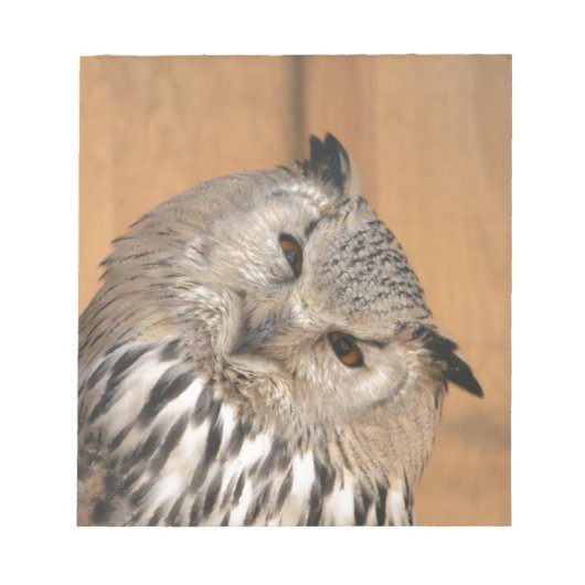 Bubo bubo sibiricus notitieblok (Voorkant)