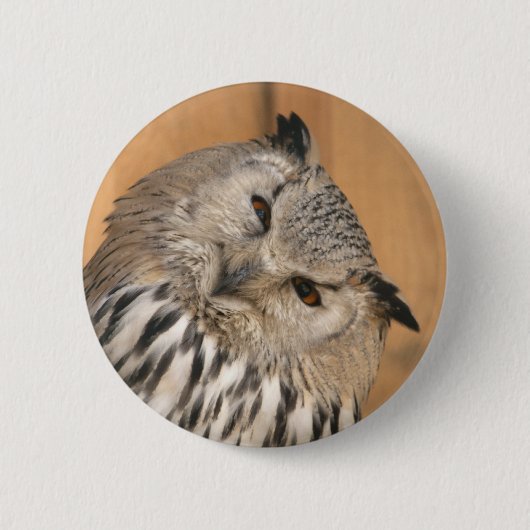 Bubo bubo sibiricus ronde button 5,7 cm (Voorkant)