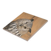 Bubo bubo sibiricus tegeltje (Zijkant)