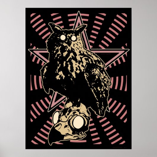 Bubo-Bubo & The Royal ALIVENESS Poster (Voorkant)