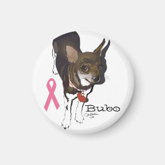 Bubo, de chihuahua magneet