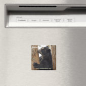 Bubu beer magneet (Insitu (Vaatwasser))