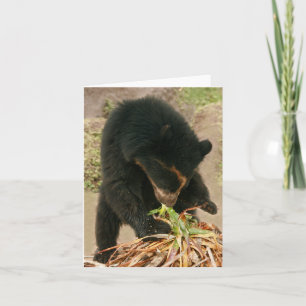 Bubu Notecard PB1 Kaart