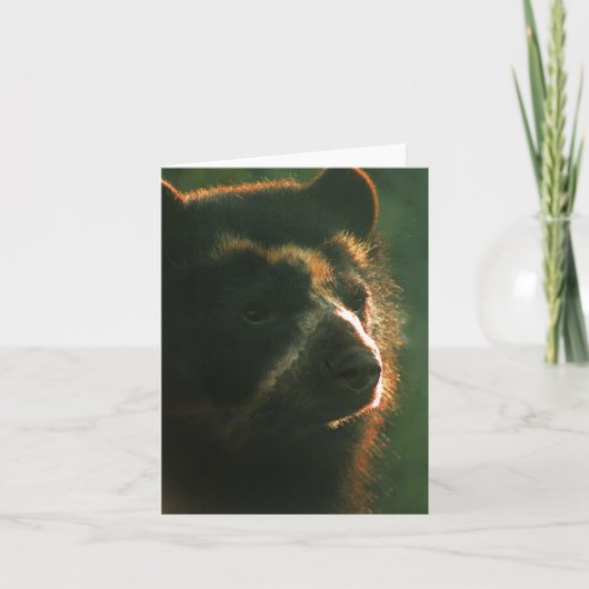 Bubu Notecard PB2 Kaart (Voorkant)