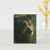 Bubu Notecard PB2 Kaart (Gele Bloem)