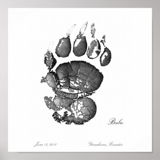 Bubu Pawprint Poster (Voorkant)