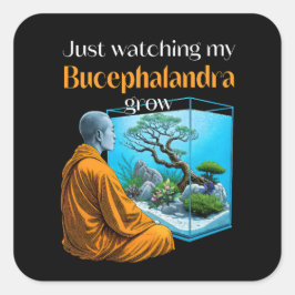Bucephalandra Zen – A Meditative Aquascaping Vierkante Sticker