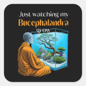 Bucephalandra Zen – A Meditative Aquascaping Vierkante Sticker (Voorkant)