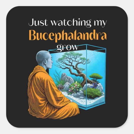 Bucephalandra Zen – A Meditative Aquascaping Vierkante Sticker (Voorkant)