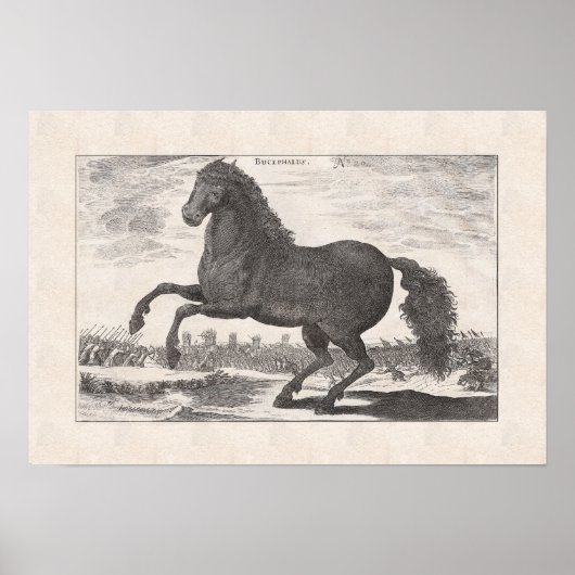 Bucephalus, Alexander the Great's favoriete paard Poster (Voorkant)