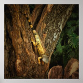 Bucerias Iguana 1069 Art Print (Voorkant)