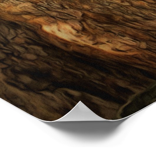 Bucerias Iguana 1069 Art Print (Hoek)