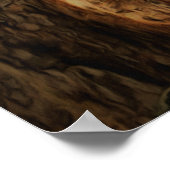 Bucerias Iguana 1069 Art Print (Hoek)